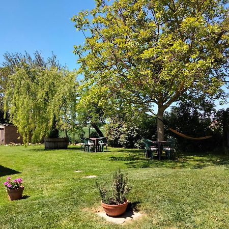 Podere Alberello ตอร์ริตา ดิ เซียนา ภายนอก รูปภาพ