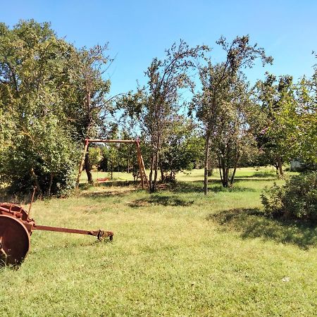 Podere Alberello ตอร์ริตา ดิ เซียนา ภายนอก รูปภาพ