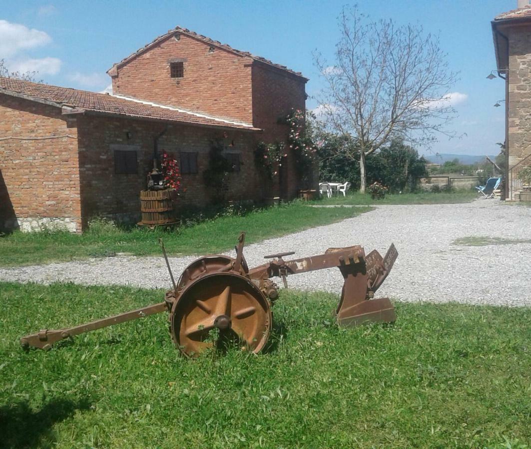 Podere Alberello ตอร์ริตา ดิ เซียนา ภายนอก รูปภาพ